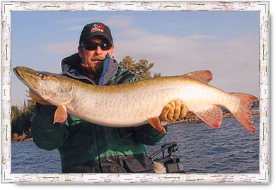 Muskie Fishing